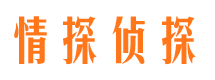 铁力市侦探公司